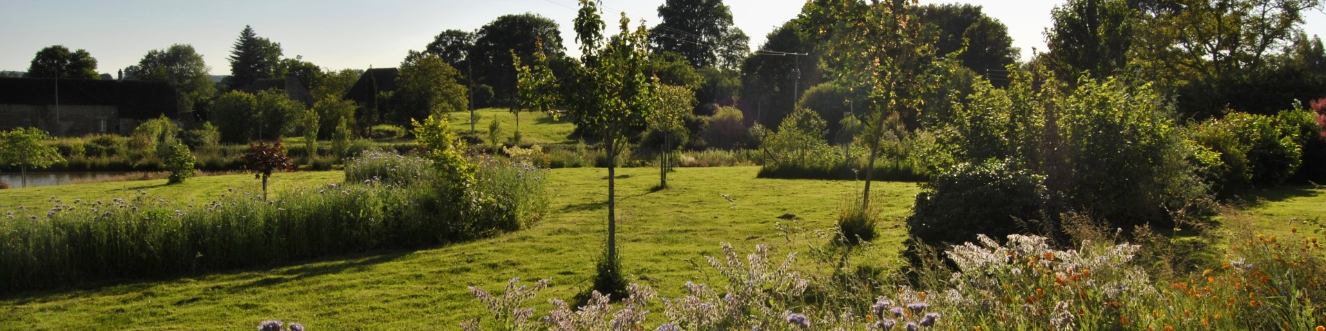 pres des plantes Eve jardins