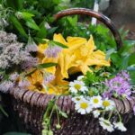 EVE-GAIGNARD-PANIER-2