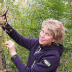 Eve-Gaignard-cueillette-2