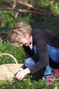 Eve-Gaignard-cueillette