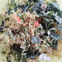 Tresors-botaniques-5